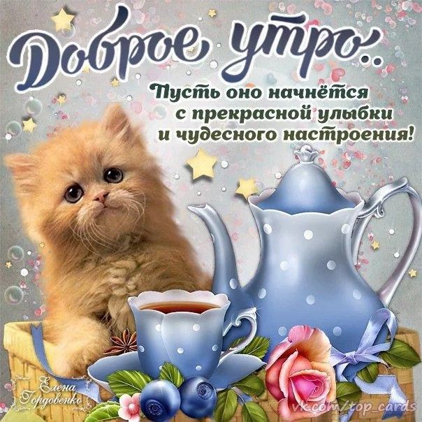 Укурыш-Дориан Сначалобылословович (@ashhloveu) on Twitter photo 