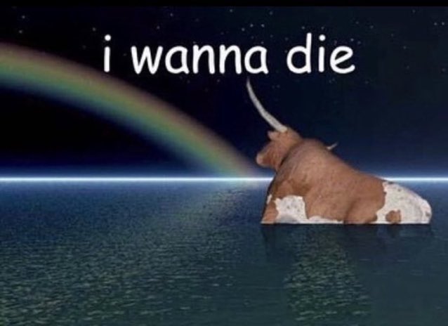 TristonCrump's tweet image. #TexasvsOSU