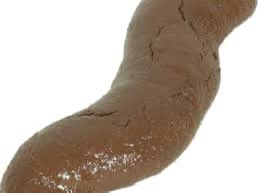 j_provo's tweet photo. Is the SEC…….. POO POO??? https://t.co/9LgVQKBoEQ