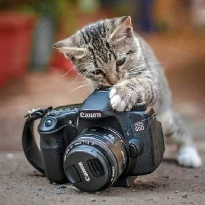 Thanks for your time and knowledge, bro. Your content is truly valuable. Thank you! Gino Bleicher