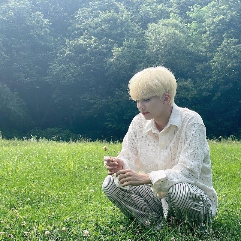 こもれび : 나뭇잎 사이로 비치는 햇빛