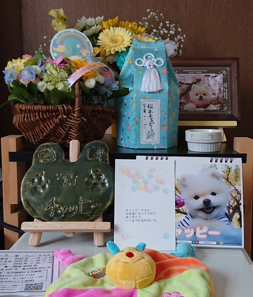 昨日、雪の降る中で元気に天に登っていきました🌈

後悔の念と悲しみ寂しさが交互に襲ってきますが
チャッピーの幸せを祈っていただき
深い悲しみを乗り越える励ましに落ちる心を救われています
楽しかった思い出が甦り ごめんね から ありがとう って心の底から言える日が来ると信じて生きていきます