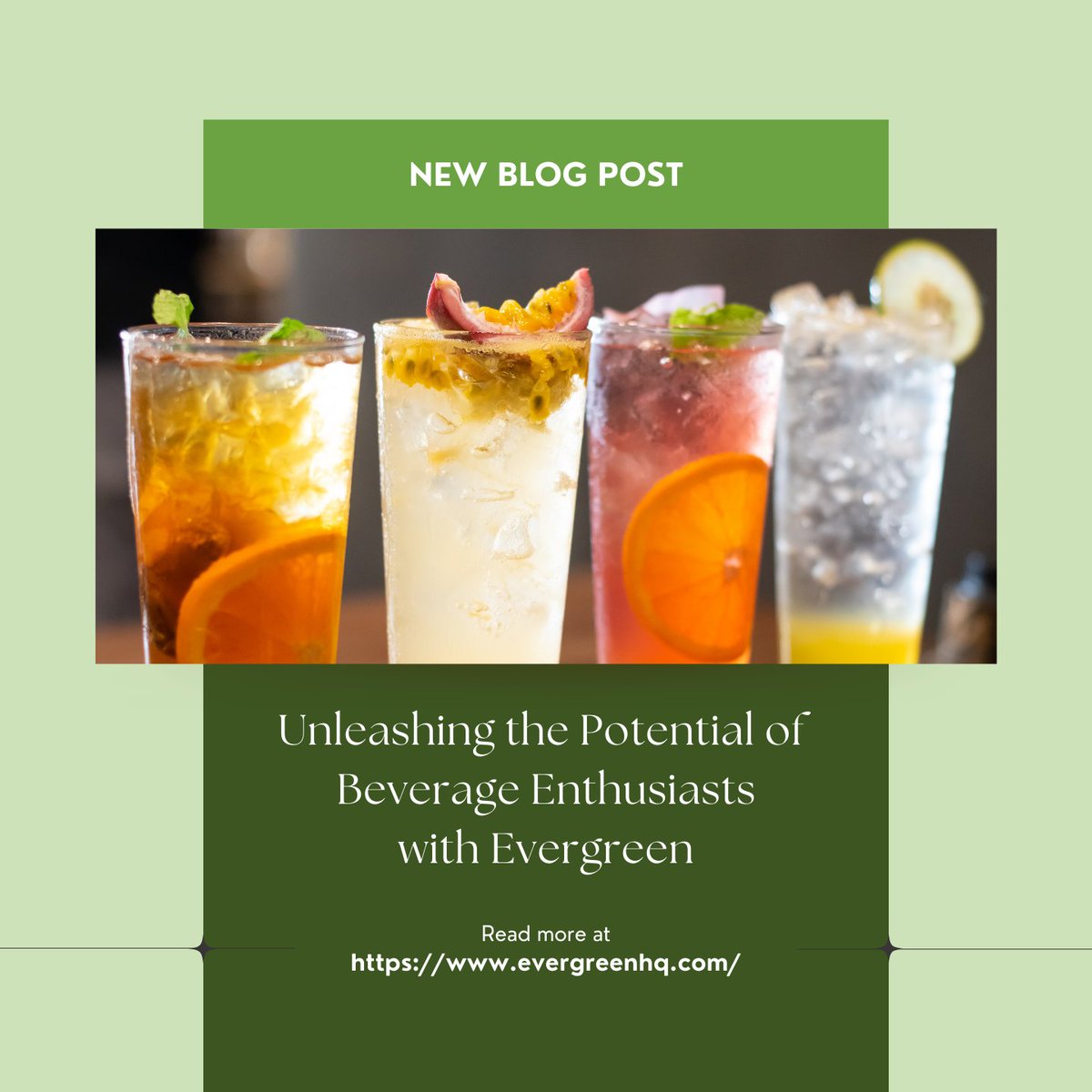 taphunter's tweet image. With Evergreen’s expansive database, connoisseurs can explore a world of information, from rare spirits to the latest trends in THC beverages.

Visit our website now to learn more!

#evergreen #evergreentechnology #beverage