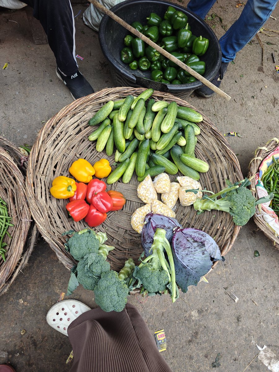 My favourite part of any city is their old ones. Unabashedly raw, organic! One that wakes up early, full of hustle bustle and is full of surprises. Sharing my favourite unfiltered portions of sub-urbs trapped in urban areas of Cawnpore aka Kanpur. Organically yours!