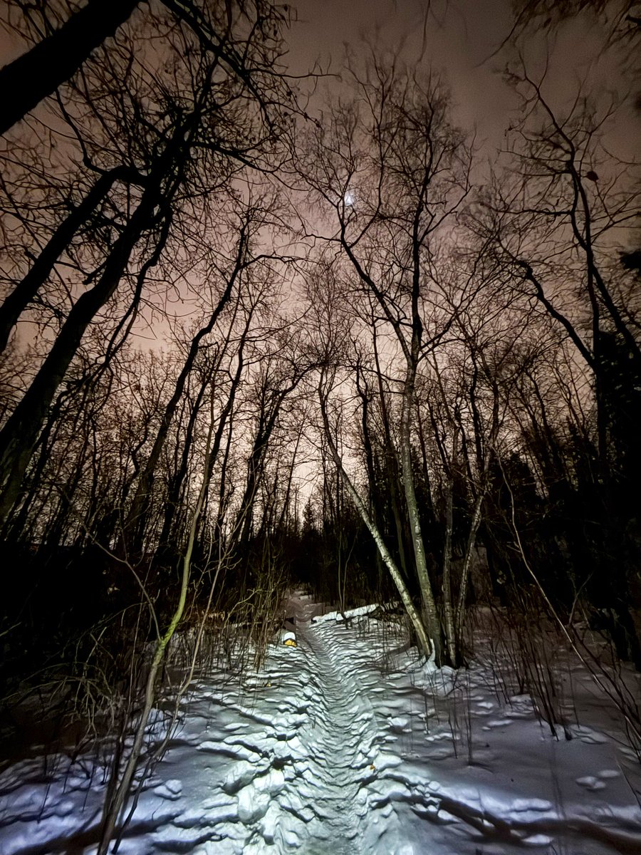 Darren Markland tweet media