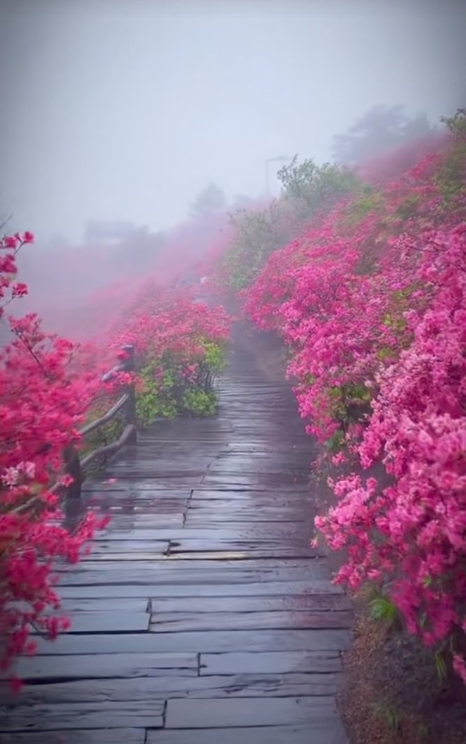 اور کچھ دروازے اللہ تعالیٰ ہماری حفاظت کے لئے بند کر دیتا ہے۔ ✅💯
 Morning 🖤✓X Mate's 🌼