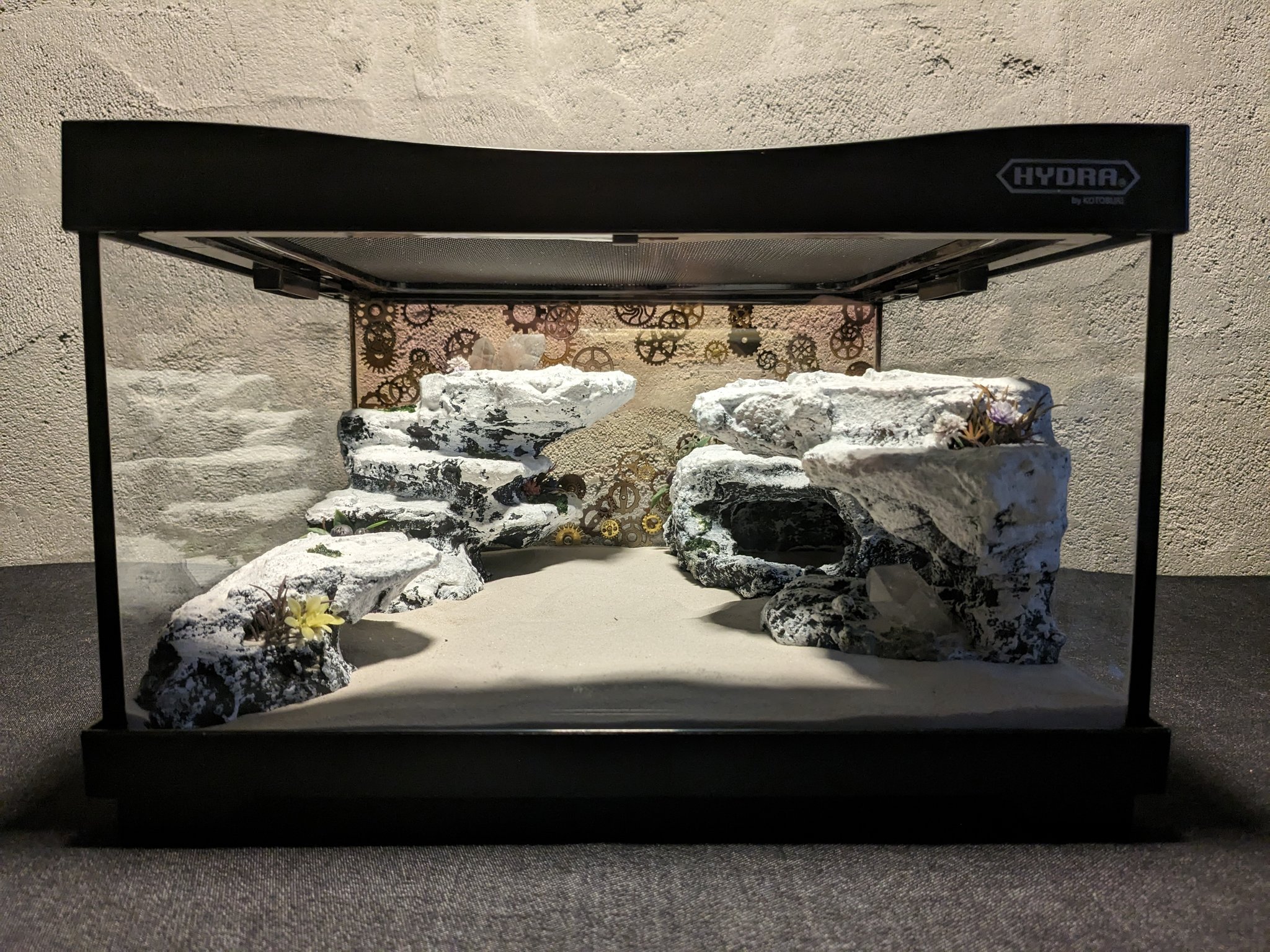 爬虫類用造形アート ともえ屋