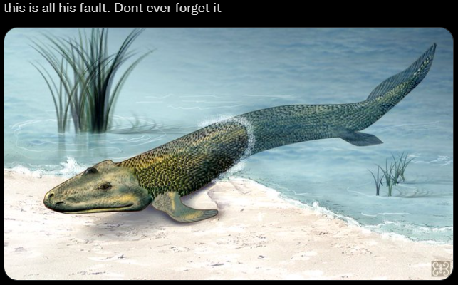 ShitpostGateway (@shitpostgate) on Twitter photo 