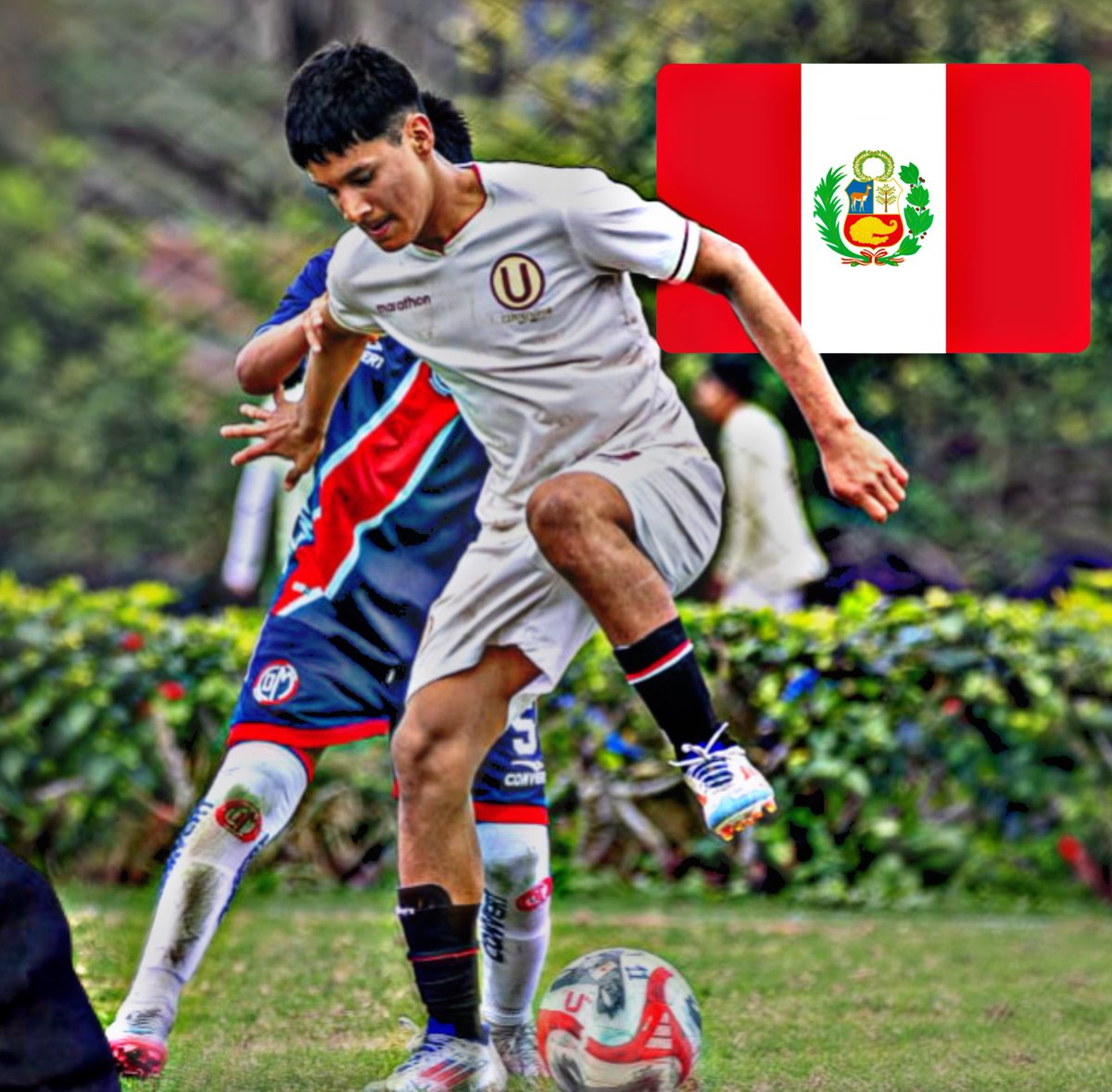 cesarmosquera__'s tweet photo. 🇵🇪💎 LEONARDO FLORES es la gran joya de Universitario de Deportes y arrasa en menores.

✅ MVP en la Newell’s Cup
✅ Campeón en la Copa Federación U13
✅ Buen nivel en la Copa Efipan

Cosechó 20G+18A en 14 PARTIDOS (!!) la temporada pasada.

Cat, 2011. 🪄

https://t.co/Hs9flJcqMI https://t.co/NhZx5N6bv1