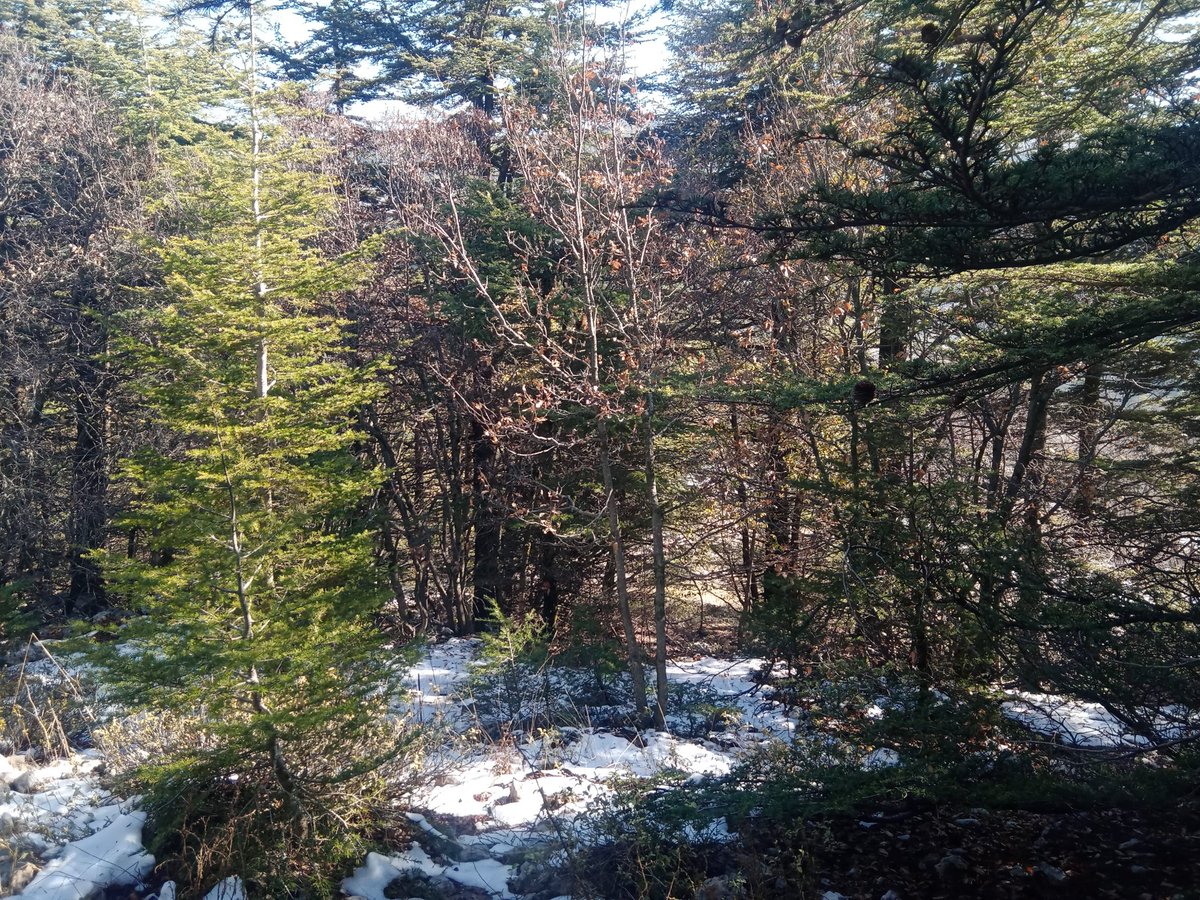 CRahme79's tweet image. Keep your dreams alive. Understanding that achieving anything requires faith and belief in yourself, vision, hard work, determination, and dedication. Remember, all things are possible for those who believe.
...Gail Devers...
#hiking #NaturePhotography #NatureBeauty #view