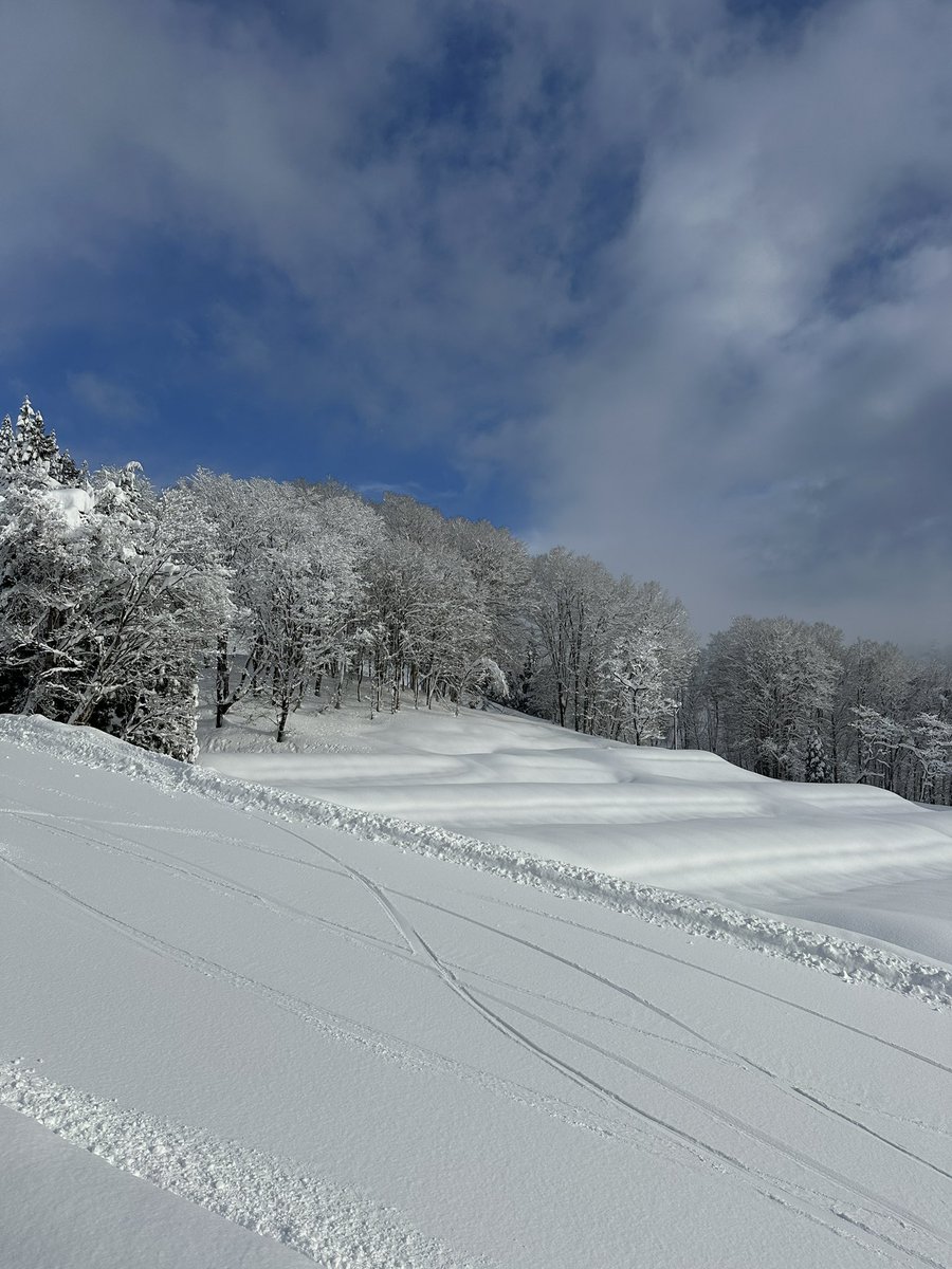 今日も気持ちいい1日。
でも気温高すぎて雪重ーい‼️