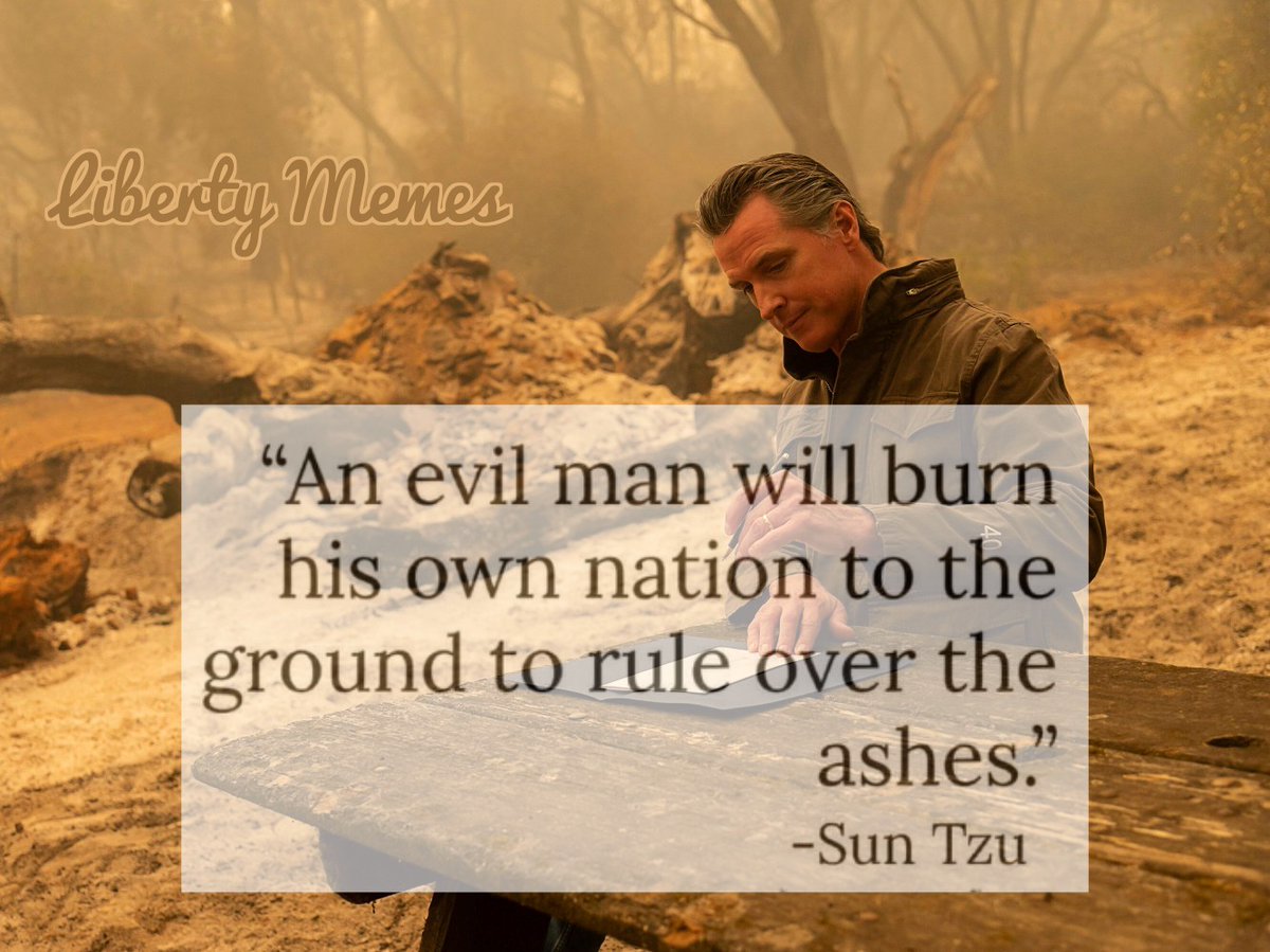 Liberty_Memes's tweet photo. @elonmusk Ooof https://t.co/bKS0OYwWn5