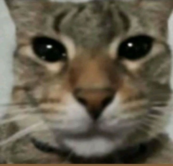 _sacrileg3_'s tweet photo. @fvcklliot JAJAJA, AYUDA, no creí que fuera a salir en este hilo, dioos. https://t.co/BY26nhdFVX