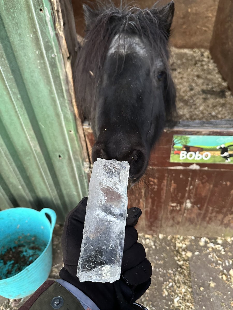 Gary Wood tweet media