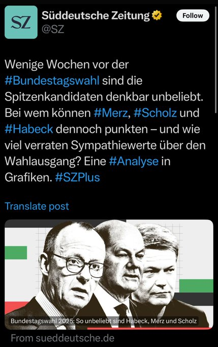 Alice Weidel tweet media