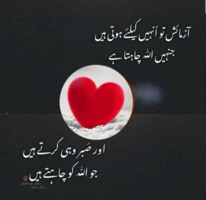 Fatima tweet media
