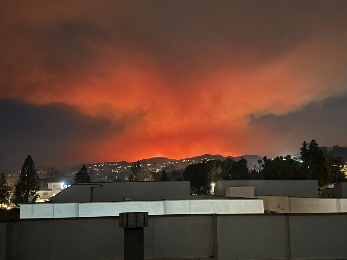 RealOhMatty's tweet image. Been through a few LA fires but this one is insane