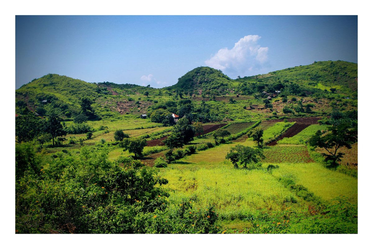 RedefiningTro's tweet photo. With all this beauty for you
Saturdays can't be a day for doing laundry
Get out and relish the beauty of Tororo
πΈ; @xander_ochieng
#VisitTororo
#TororoToTheWorld
#TravelUganda https://t.co/mTOrpGzv5W