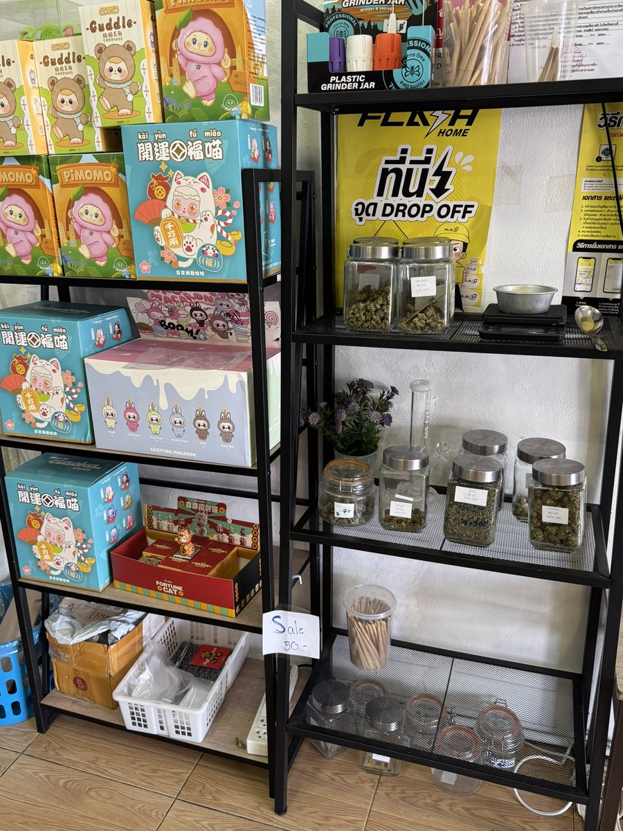 noppatee :P tweet media