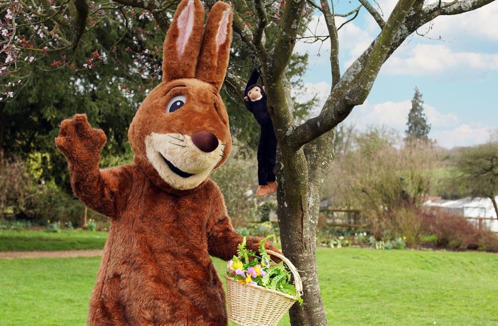 With so many more exciting events lined up at the park for 2025, it's the perfect time to become an annual member! 🎉

Join our community: bit.ly/3ysRkK9

#AnnualMembership #Charity #MarwellZoo