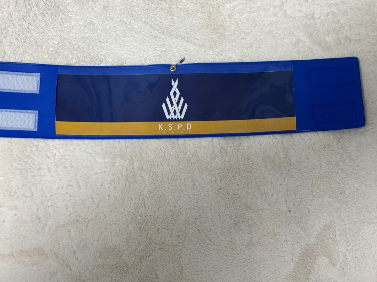 ブルアカ #KSPD #ヴァルキューレ警察学校 @ikutooru_game さんから頂い