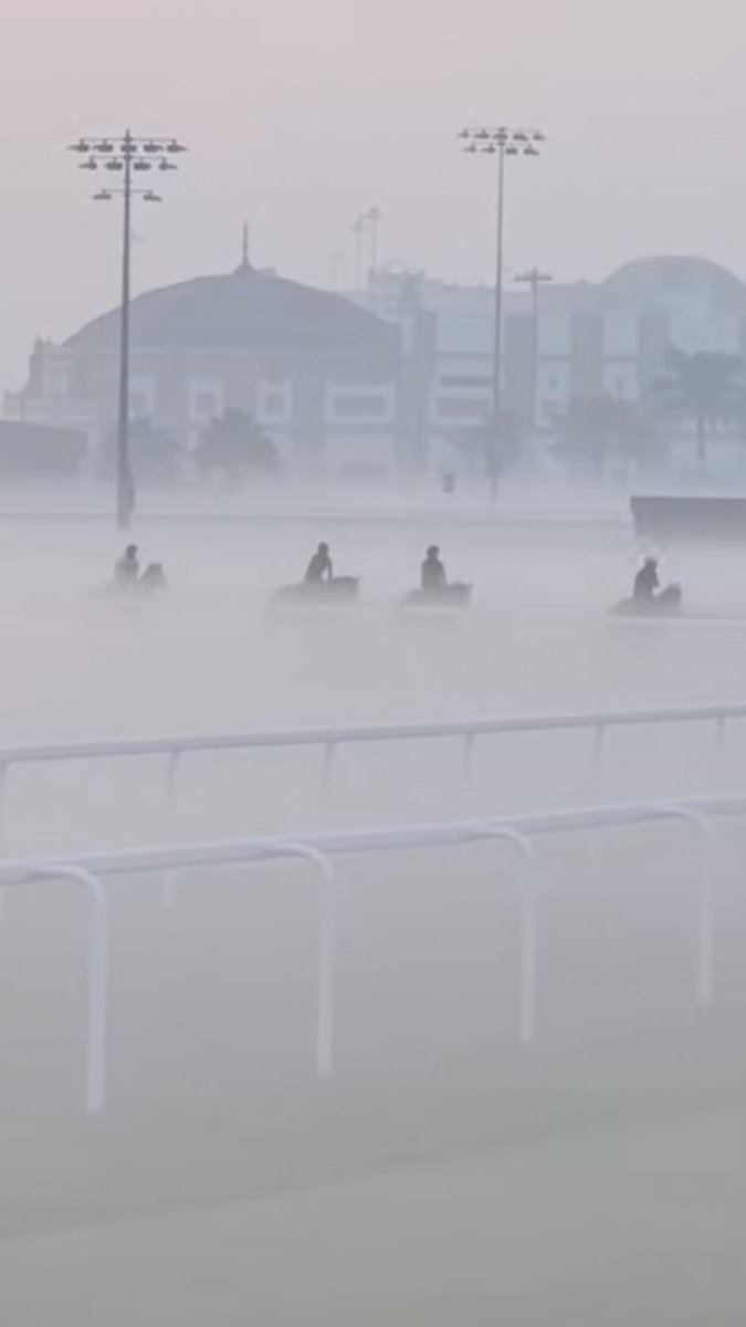 Debbie Mountain tweet media