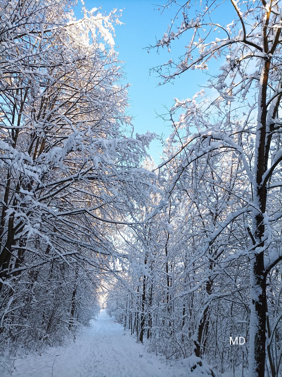 Martina Dvorská (@martinadvorsk2) on Twitter photo 