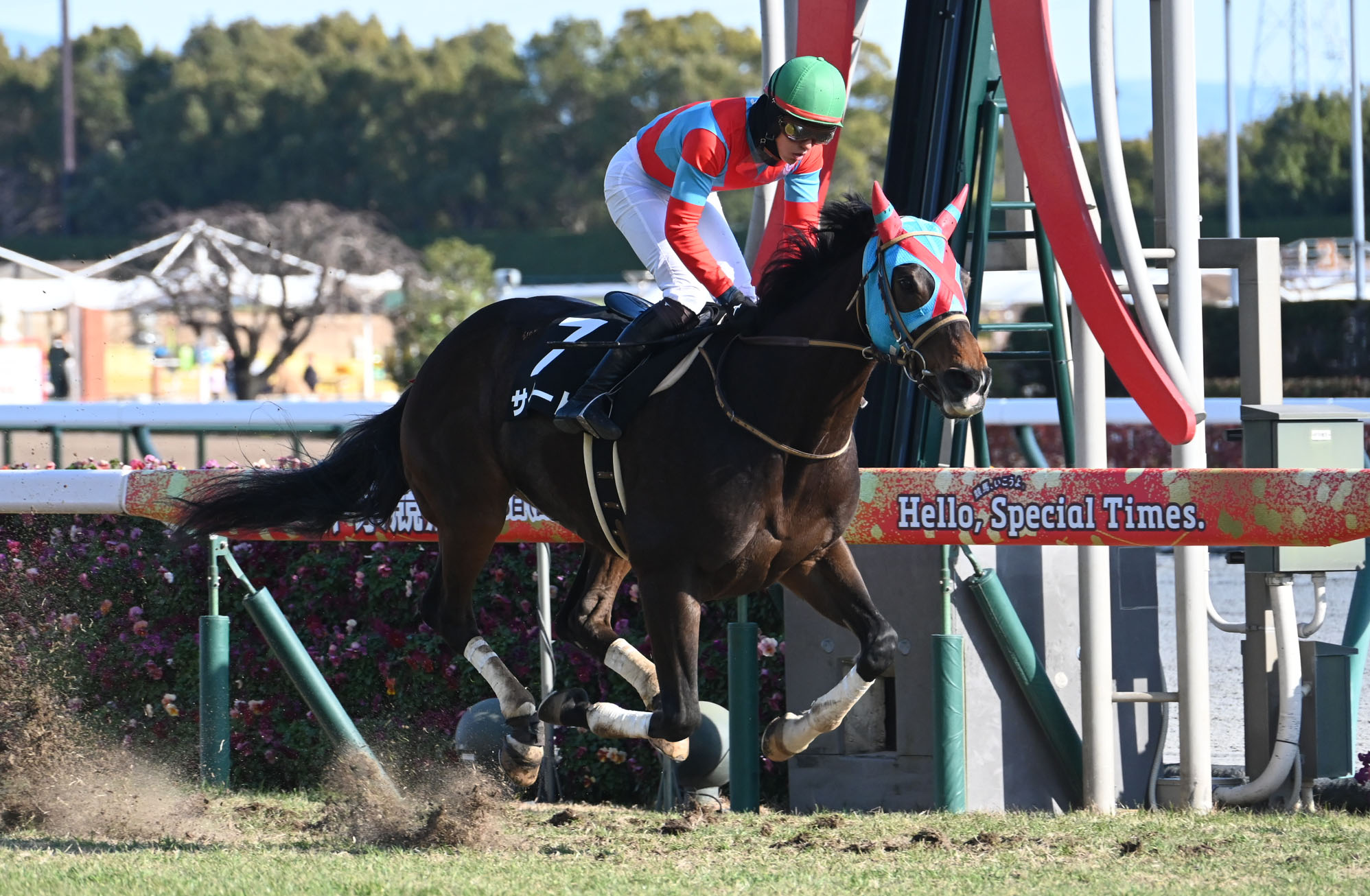 競馬 JRA レープロ990221東京 クイーンC ウメノファイバー /ニシノセイリュウ /Hエイダイクイン ヒシアマゾン /ナイスネイチャ「ワイド」 競馬 JRA レープロ990221東京 クイーンC ウメノファイバー