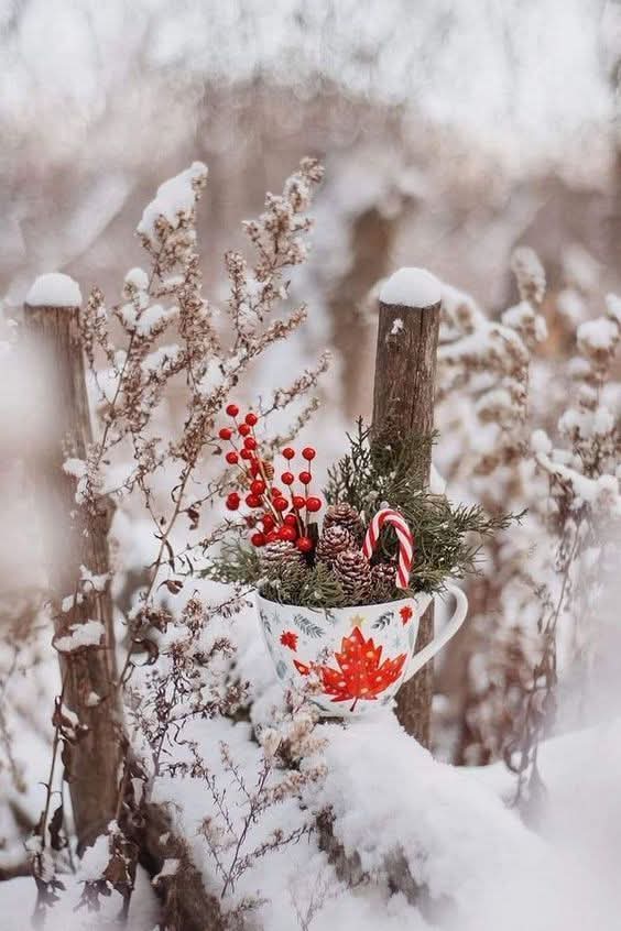 Krásné ráno s ☕přátelé mějte všichni veselý zimní den plný krásných zážitků lásky a pohody 🛷❄️⛄🍀😘☀️🙋