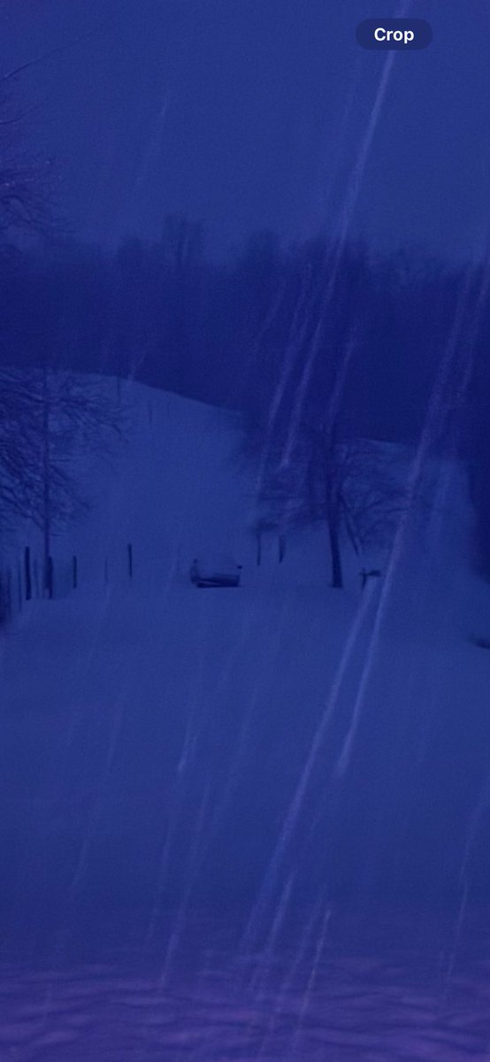 Elicaldwell's tweet photo. Never thought I’d say this, but I’m over the snow. 🙄 #wvwx https://t.co/vbD8qmwYsN