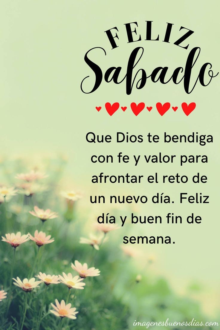 Oración Diaria®™ tweet media