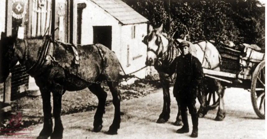 The history of Rhondda Cynon Taf is brought to life through the words, pictures and videos of its own residents in a brand-new website. Find out more here 👉 
orlo.uk/tDHMv