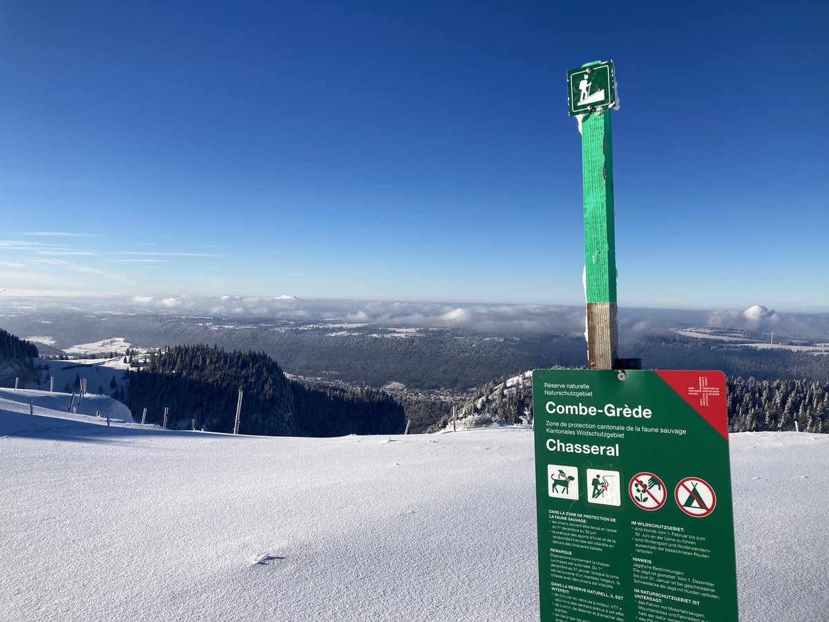 Les balades et sports hivernaux, c'est un vrai plaisir... sauf pour la faune ! ❄️

Pour préserver au mieux la quiétude des milieux naturels lors de vos excursions, quelques recommandations sont de rigueur.

Vous les trouverez ici : parcchasseral.ch/fr/decouvrir/c…

#parcchasseral