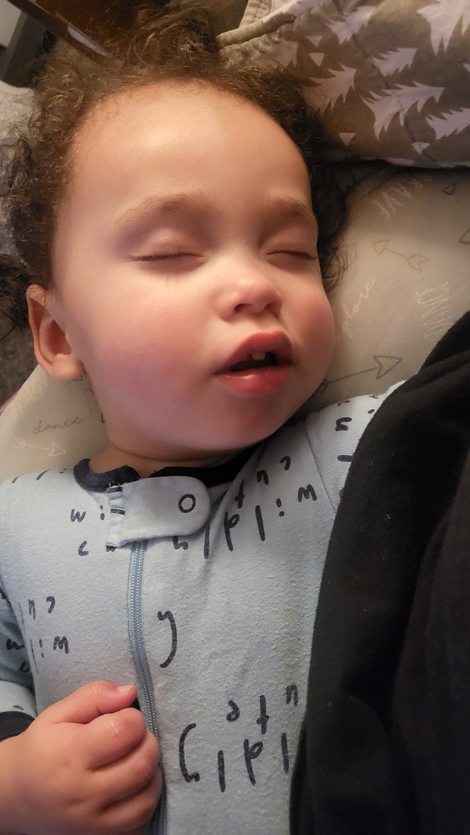 aWretchedKitten😻 tweet media