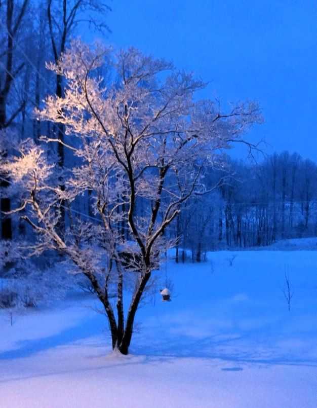 Petr M.🌹🇨🇿🌹 (@petrm01606112) on Twitter photo 