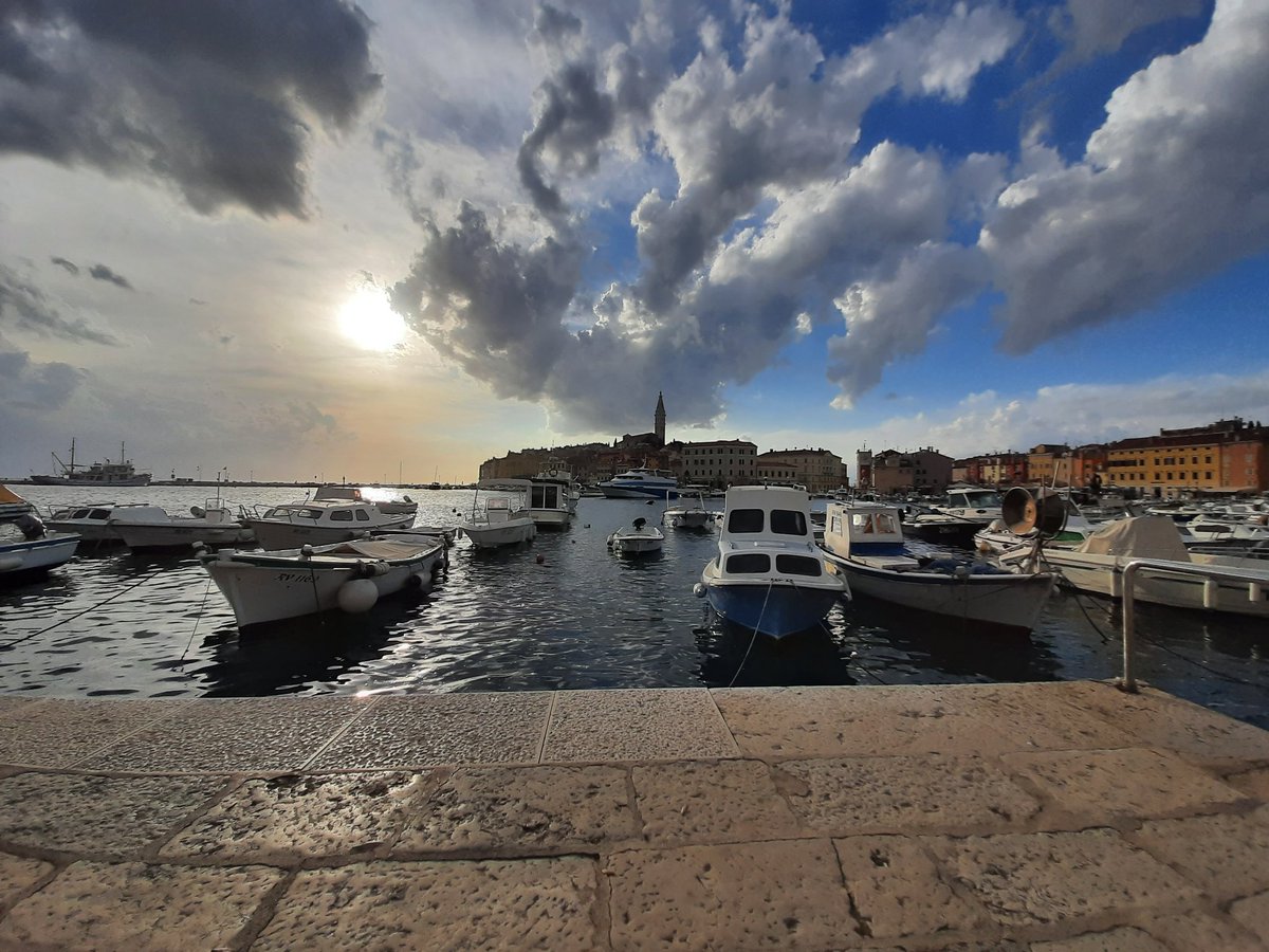 Кондратюк Максим tweet media