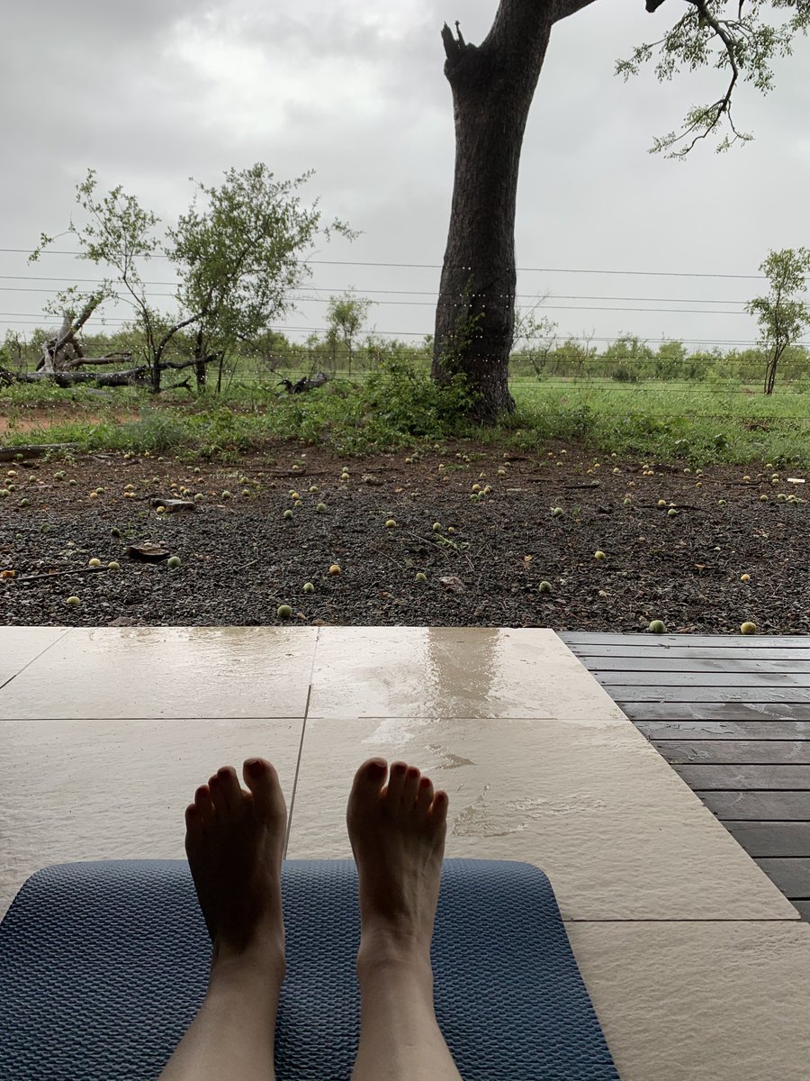 Katherine Sproule tweet media