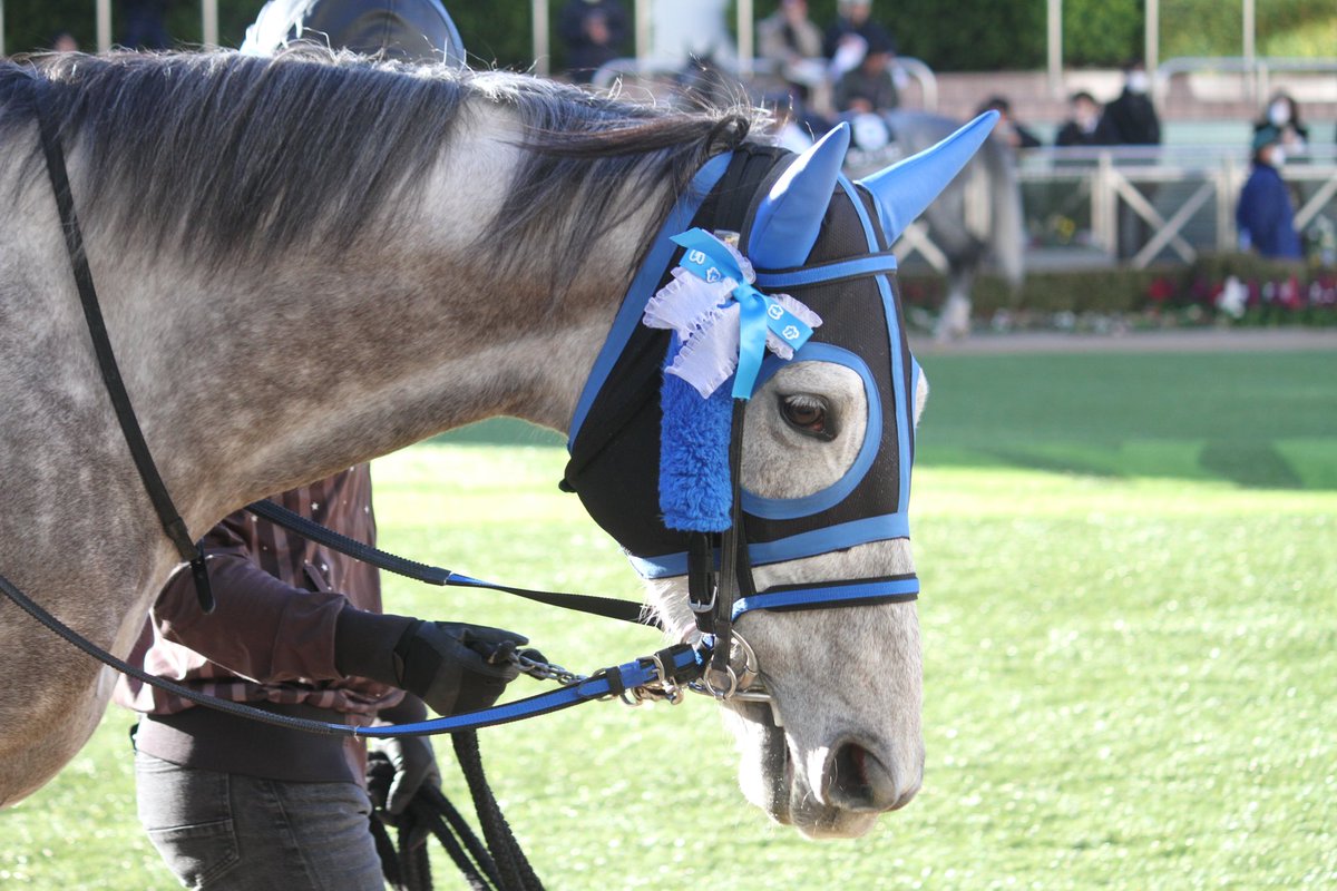 5umauma's tweet photo. 1.11🌟中山 11R イヤサカ🐎🎀 https://t.co/ZTzJ9XGxuR