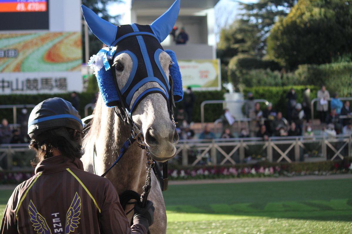 5umauma's tweet photo. 1.11🌟中山 11R イヤサカ🐎🎀 https://t.co/ZTzJ9XGxuR