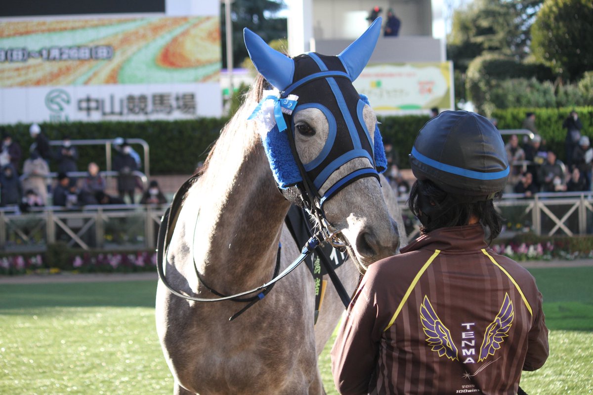 5umauma's tweet photo. 1.11🌟中山 11R イヤサカ🐎🎀 https://t.co/ZTzJ9XGxuR