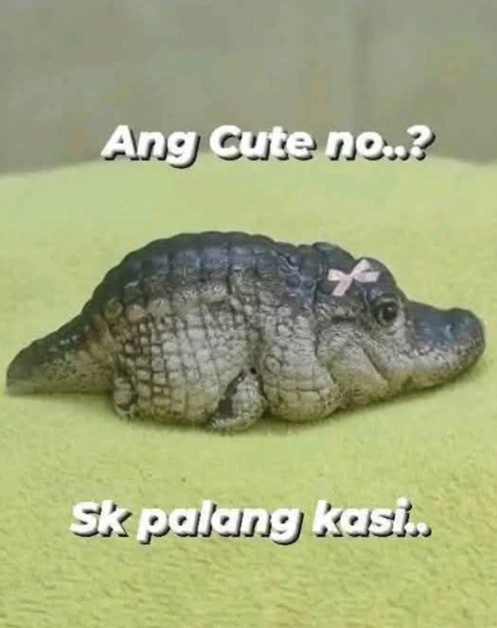 Homeboy56581258's tweet photo. BAGONG BOSES 😆 https://t.co/HL1HliY7yd