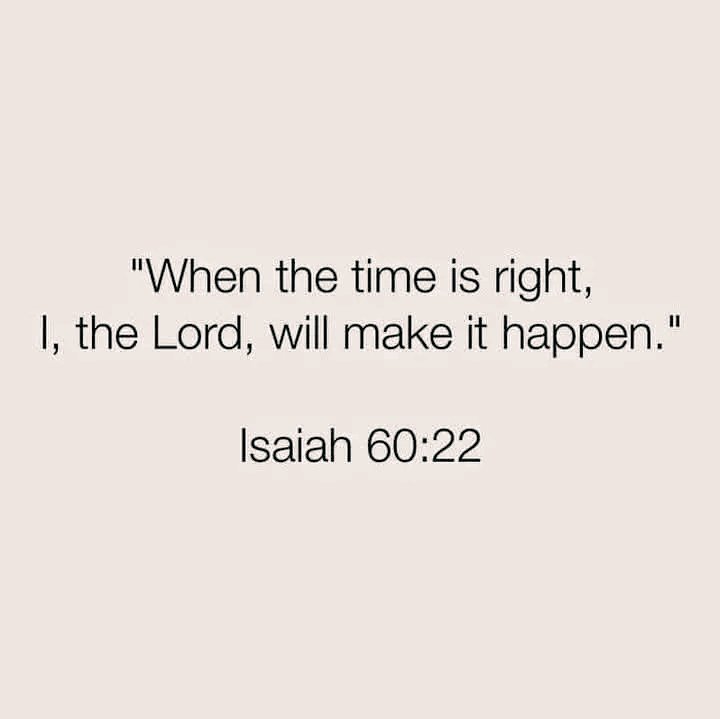 Bible 365 (@bible365_) on Twitter photo 