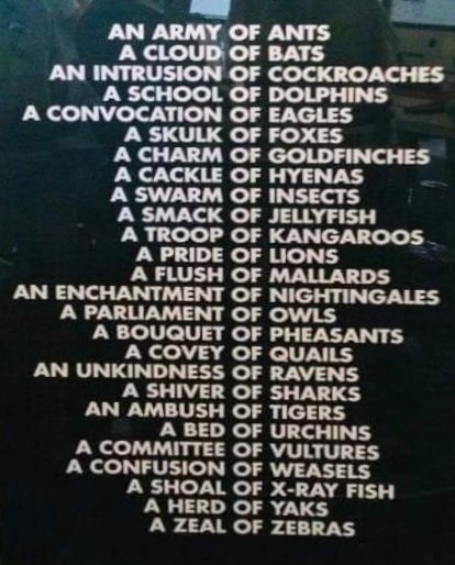 Some fun information for your writing pleasure, or just because.
