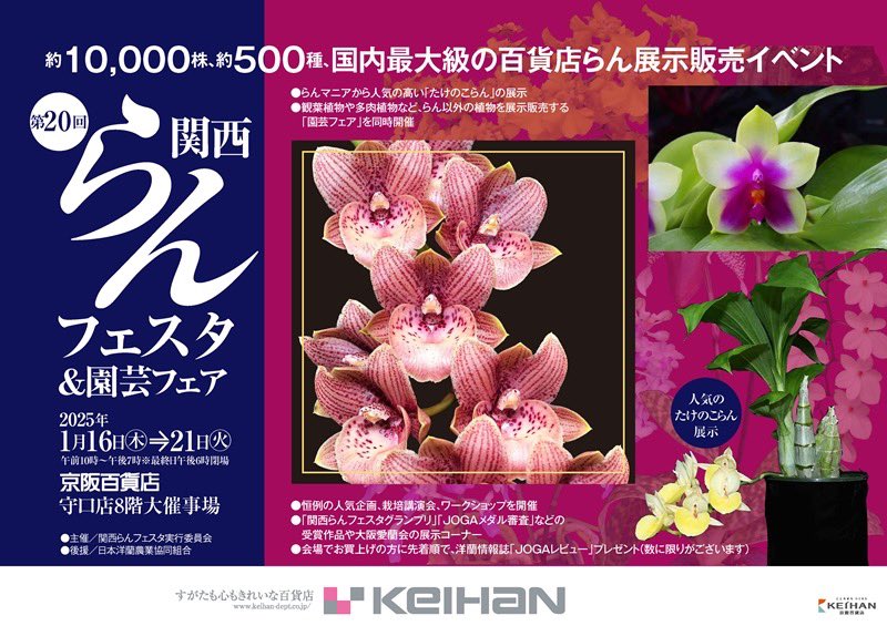 kansai_ranfesta's tweet photo. 関西らんフェスタではワークショップを開催します。

今回は色々な植物の専門家を講師に迎えての開催です。

気軽に参加してみてはいかがでしょうか？

#関西らんフェスタ
#ワークショップ
#植物

https://t.co/mYTsnwEhLO https://t.co/Kqp28l9FKS