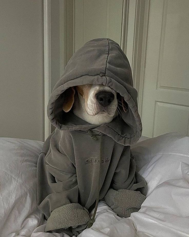 a good hoodie is thick, comfy, and has a large enough hood to cover your eyes when you want to take a nap during the afternoon. looks great with jeans, shorts, and workwear. personally like the ones from bare knuckles, camber, and vintage russell athletic on ebay/ etsy