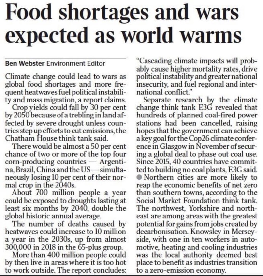 Mark Ogge tweet media