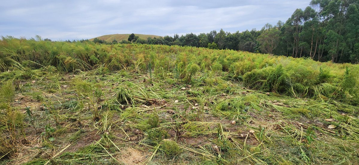 Brian Corr tweet media