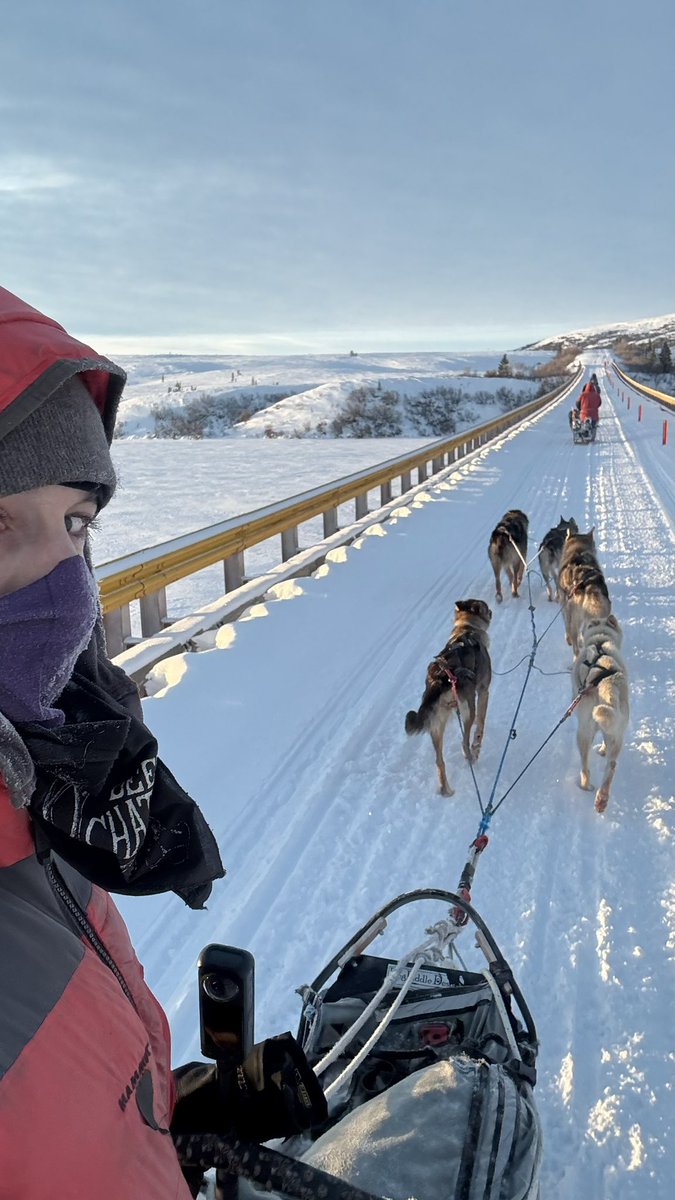 TruckHouseLife's tweet photo. Transportation in Alaska🔥

#alaskalife #snowmobile #alaska #dogmushing #tracks https://t.co/uKmcEujhjH