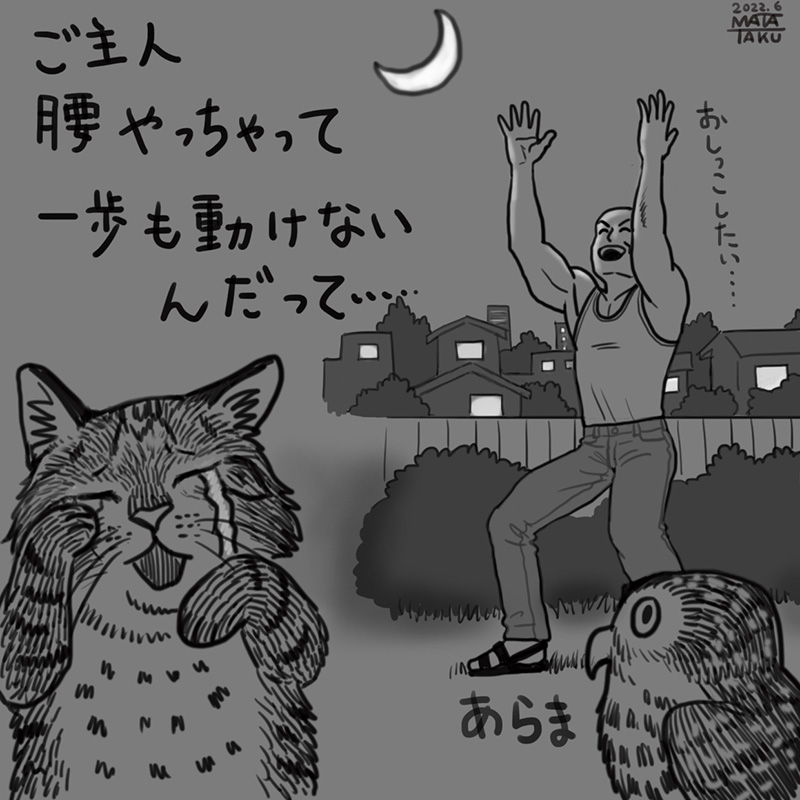猫フク 遊び をpixivに投稿しました😄🐱🦉

また猫と遊びたいなぁ

https://t.co/TYc2X3asdp 