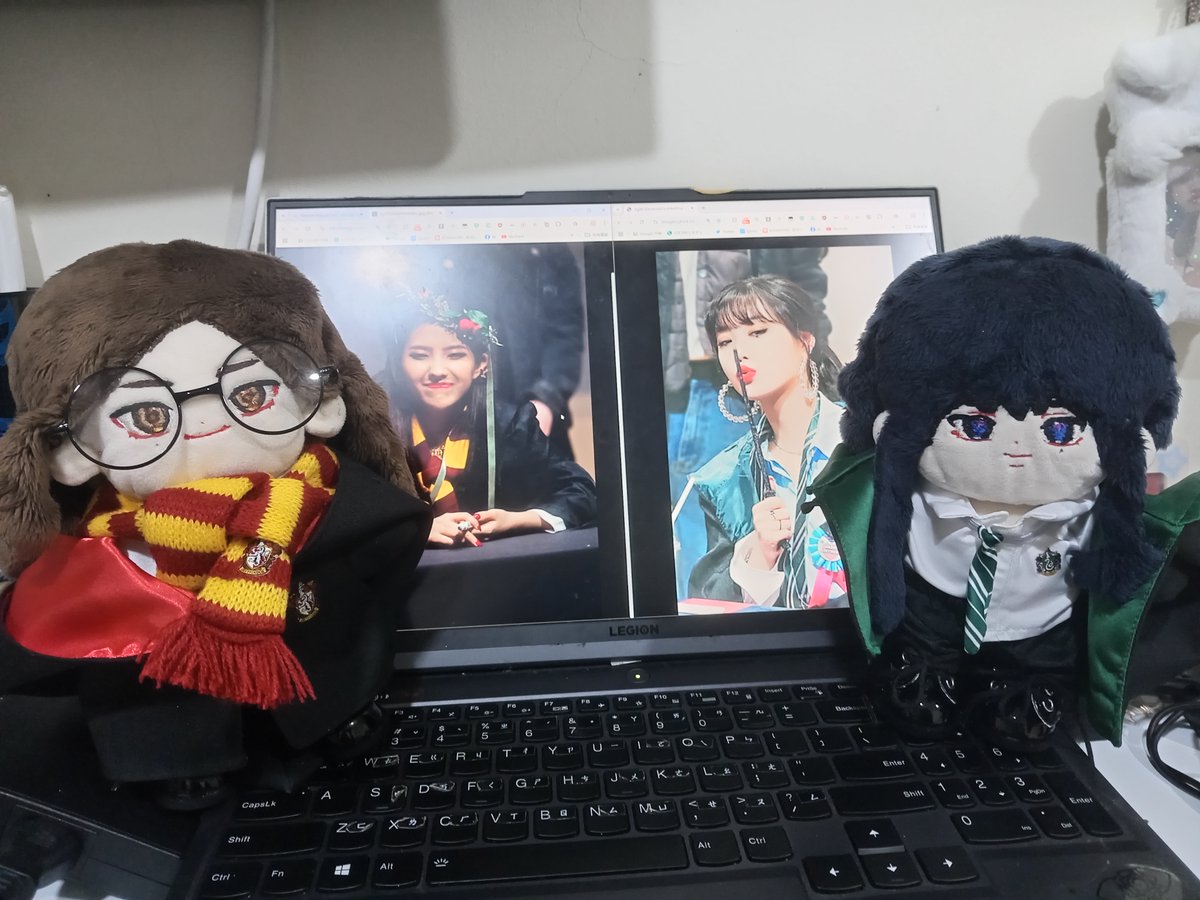 Fn. @🍒🦁 tweet media